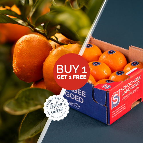 Premium Mandarins 2-for-1 Special - Schoonbee Landgoed